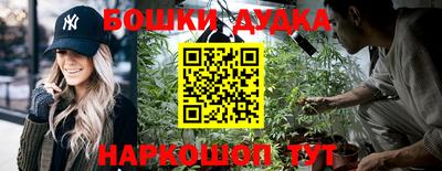 гидра Бузулук